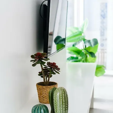 Casas Barulho Penthouse Old Town 아파트