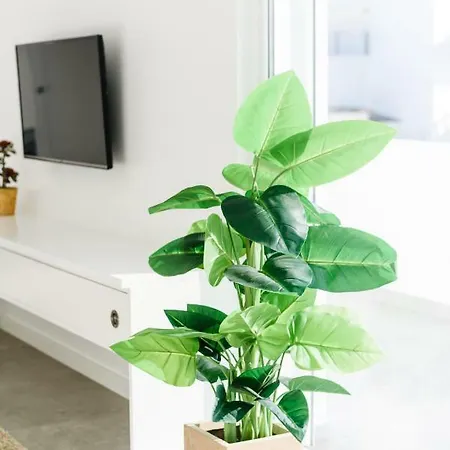 Apartment Casas Barulho Penthouse Old Town *